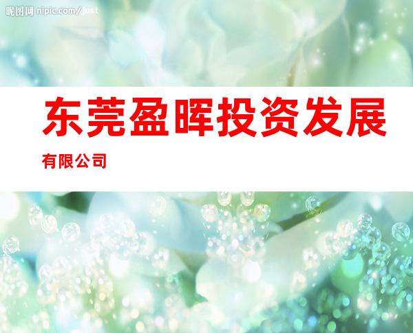东莞盈晖投资发展有限公司